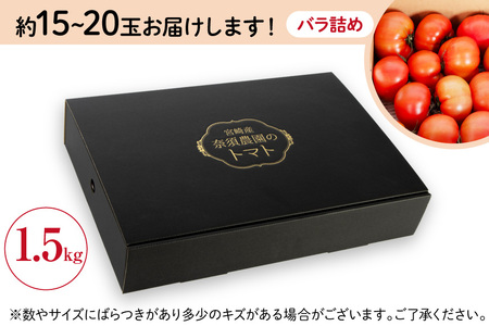 【期間限定発送】 トマト こだわりのホントに美味しい 高糖度トマト 1.5kg