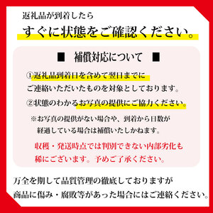 梨 豊水 3kg 令和8年度産 先行予約 8月中旬より順次発送 数量限定  山清 yamasei 静岡県 牧之原市