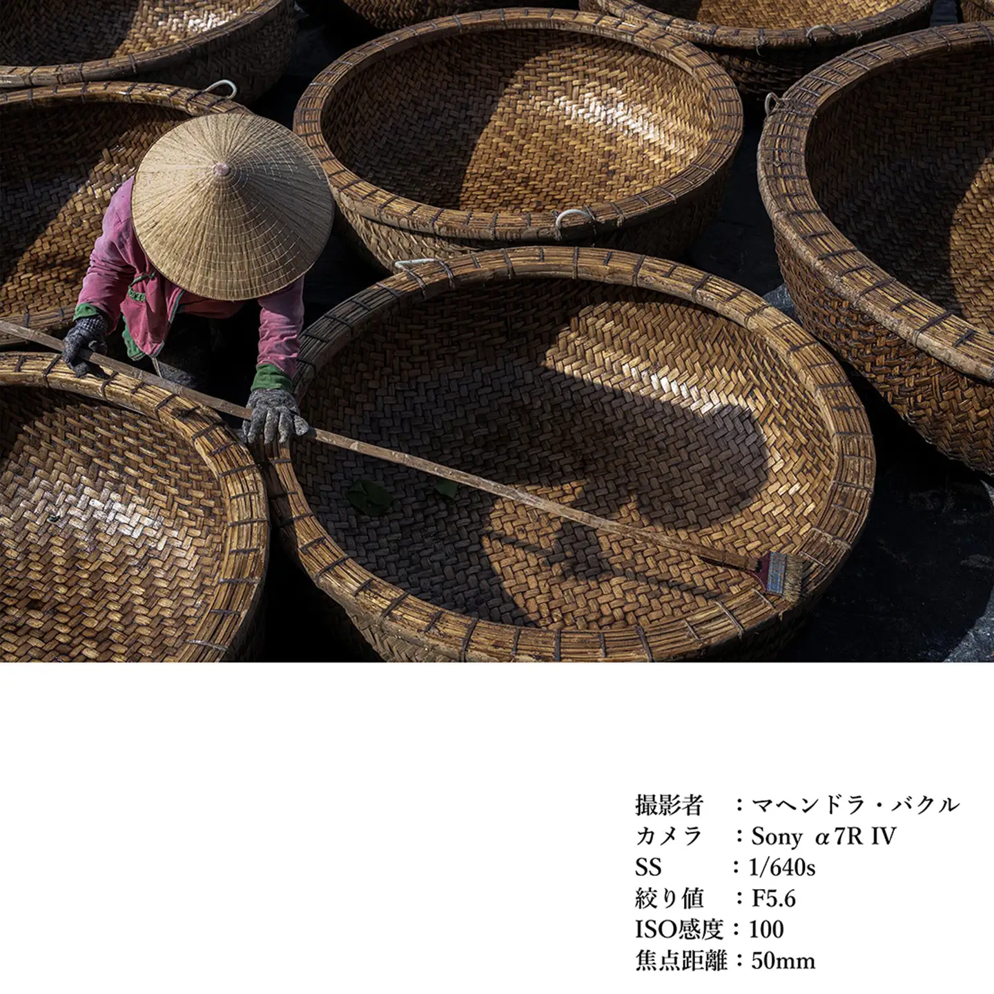 SIGMA 50mm F2 DG | Contemporary　【Lマウント】（シルバー）