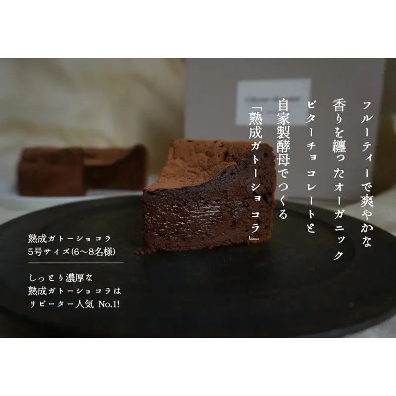 熟成ガトーショコラ【たねのおやつ】_HA1675