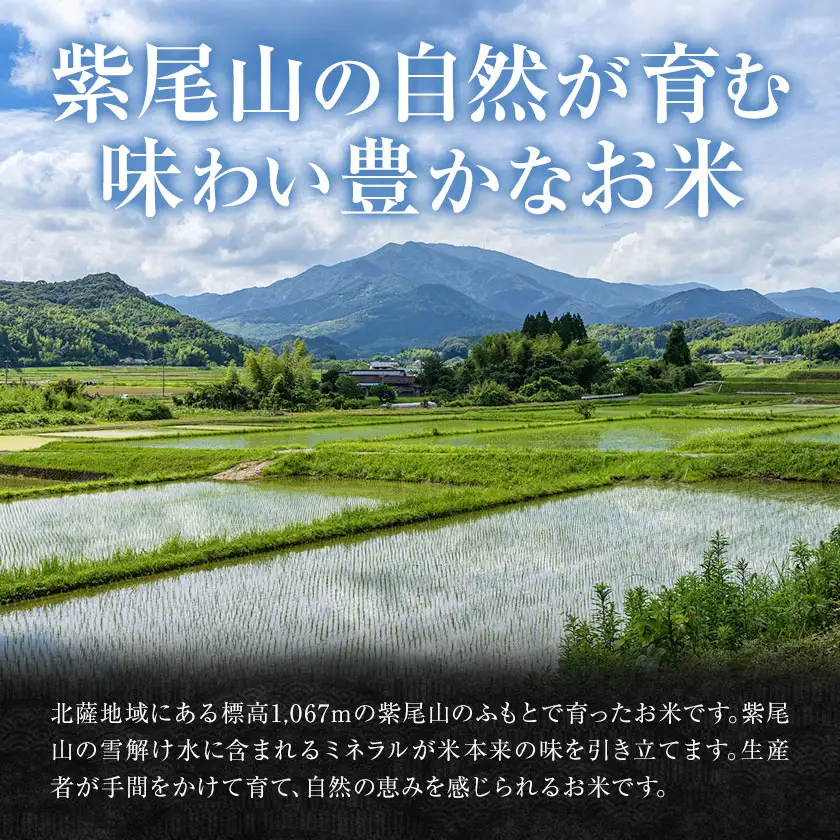 【3ヶ月定期便】令和7年産 薩摩のさつま ひのひかり  5kg×1袋×3回 計15kg  北さつま農協《お申込み翌月から出荷》