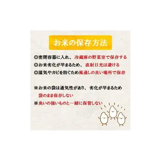 【令和8年産 新米】コシヒカリ10kg  新米