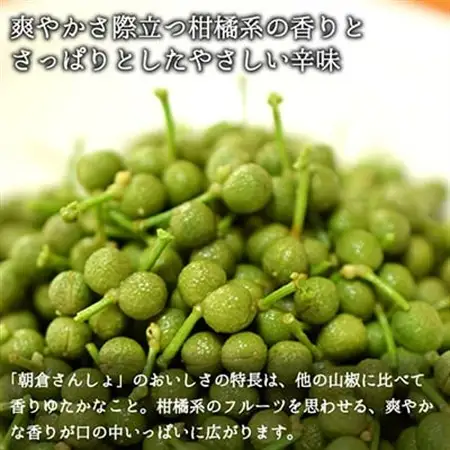 2027年先行予約5月下旬～発送 朝倉さんしょ 500g 生 実山椒 クール便 冷蔵 兵庫県産 直送【配送不可地域：離島】【1616570】