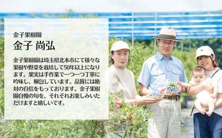 ブルーベリー 国産 冷凍ブルーベリー 500g×2袋 計1kg | ブルーベリー 金子果樹園