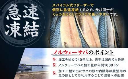 訳あり 塩 サバ 約450g 3枚 冷凍 鯖 塩 サバ 魚 さかな 海鮮 海産物 おかず 鯖ご飯 おすすめ 人気 鯖 魚 魚介 海鮮
