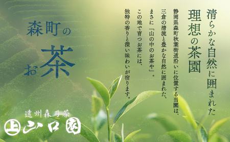 森の茶上煎茶 かおり 100g×5袋 茶 お茶 緑茶 煎茶 茶葉 森町 静岡県