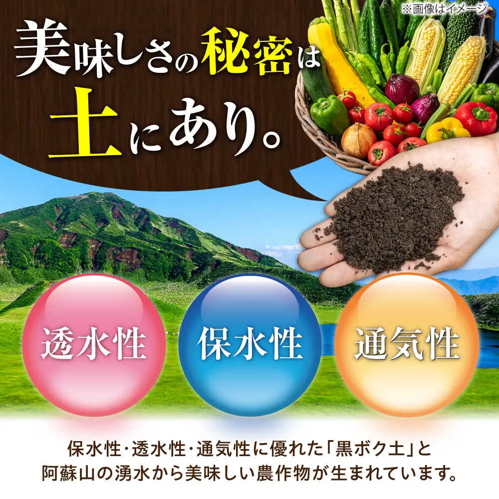 全3回定期便 菊陽町特産品 「 野菜 ・ 果物 などの詰め合わせ」 野菜 果物 BHAK007