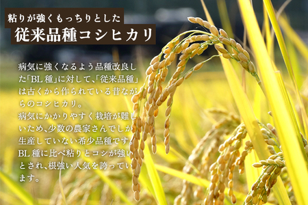 【令和8年産新米先行予約】【定期便6ヶ月毎月お届け】新潟県産 コシヒカリ（従来品種）玄米4.5kg（1.5kg×3袋）《10月上旬から順次発送》