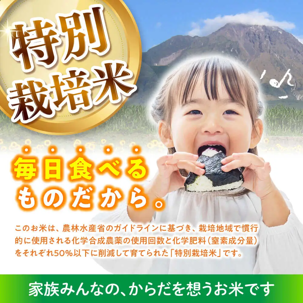 【特別栽培米】 ヒノヒカリ 15kg (5kg×3袋) / 米 精米 白米 ごはん ご飯 ひのひかり / 南島原市 / 農家民宿　いちご一会[SBN003]