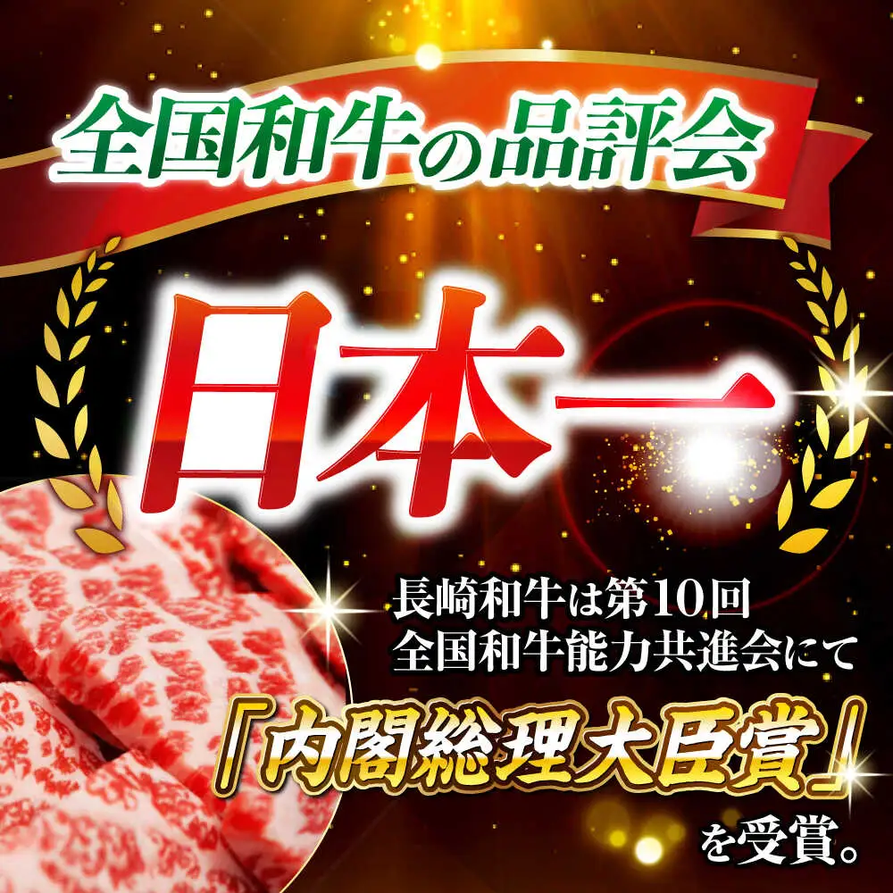 長崎和牛 サーロイン ステーキ 計1kg ＜大西海ファーム食肉加工センター＞CEK193 ステーキ