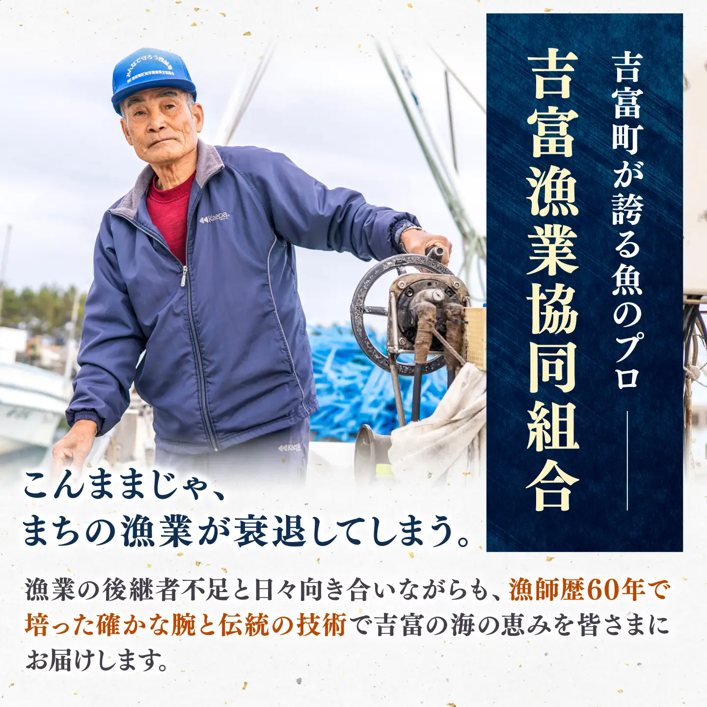 甲イカ一夜干し 5枚 [BGAW001] いか 一夜干し 干物