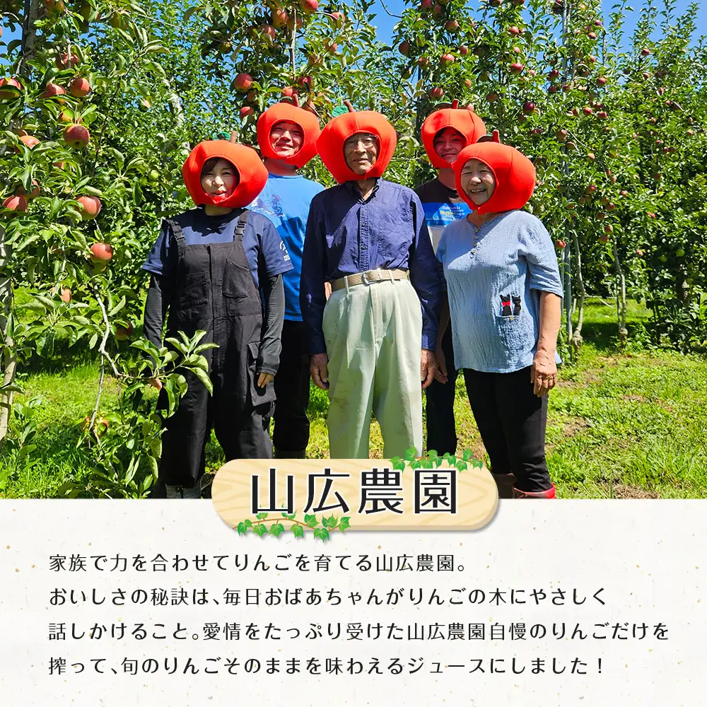 りんごジュース 芸北りんご 山広農園 果汁100% ストレートジュース 1,000ml  3本_YA023_002