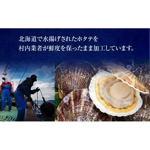 C01-H08 刺身用ホタテ貝柱 1.5kg