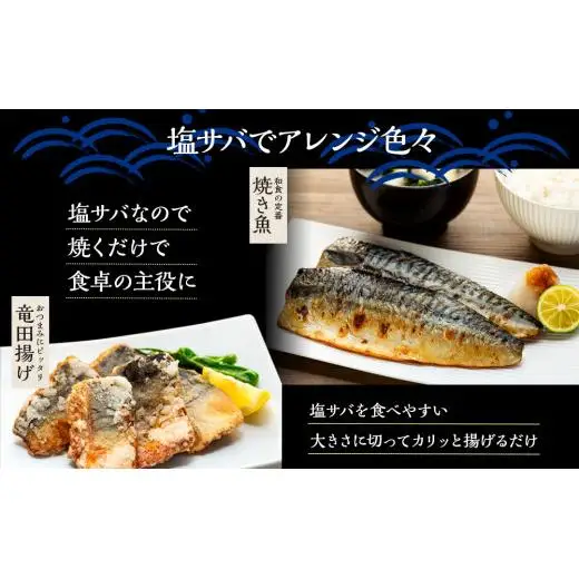 C01-B54 塩サバフィレ 3.5kg