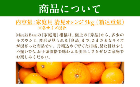 【先行受付】【家庭用】清見オレンジ 約5kg ※離島への配送不可 （2027年3月下旬より順次発送）IKTAB007 