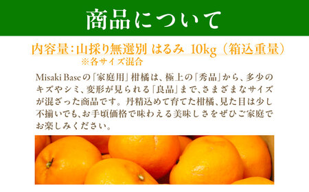 【先行受付】【数量限定】【山採り無選別】はるみ 約10kg ※離島への配送不可（2027年2月中旬より順次発送） IKTAB012 