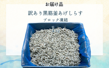 訳あり黒筋釜あげしらす IKTB016 