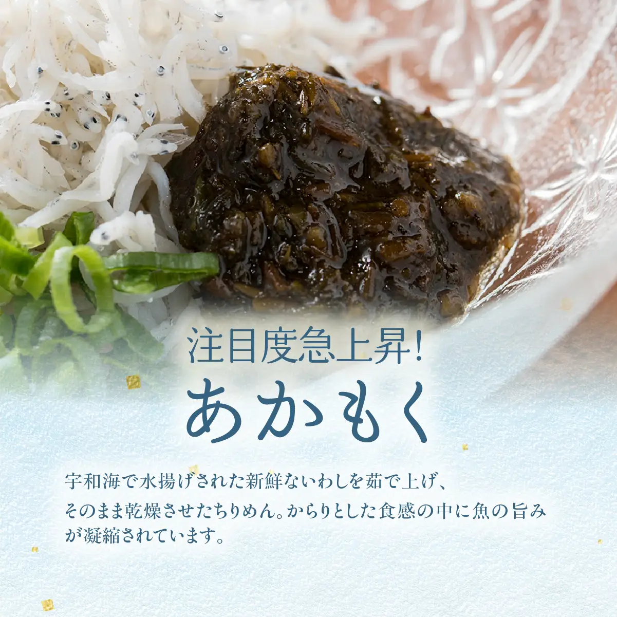 【佐田岬の味を網羅】佐田岬特選セット IKTB021 