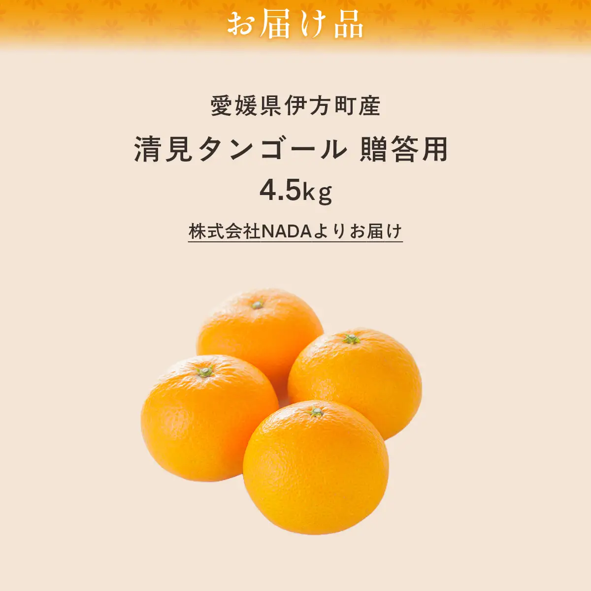 【先行予約】【農家直送】愛媛県産 清見タンゴール 贈答用 4.5kg（2027年3月中旬～4月下旬に順次発送予定） IKTC007 