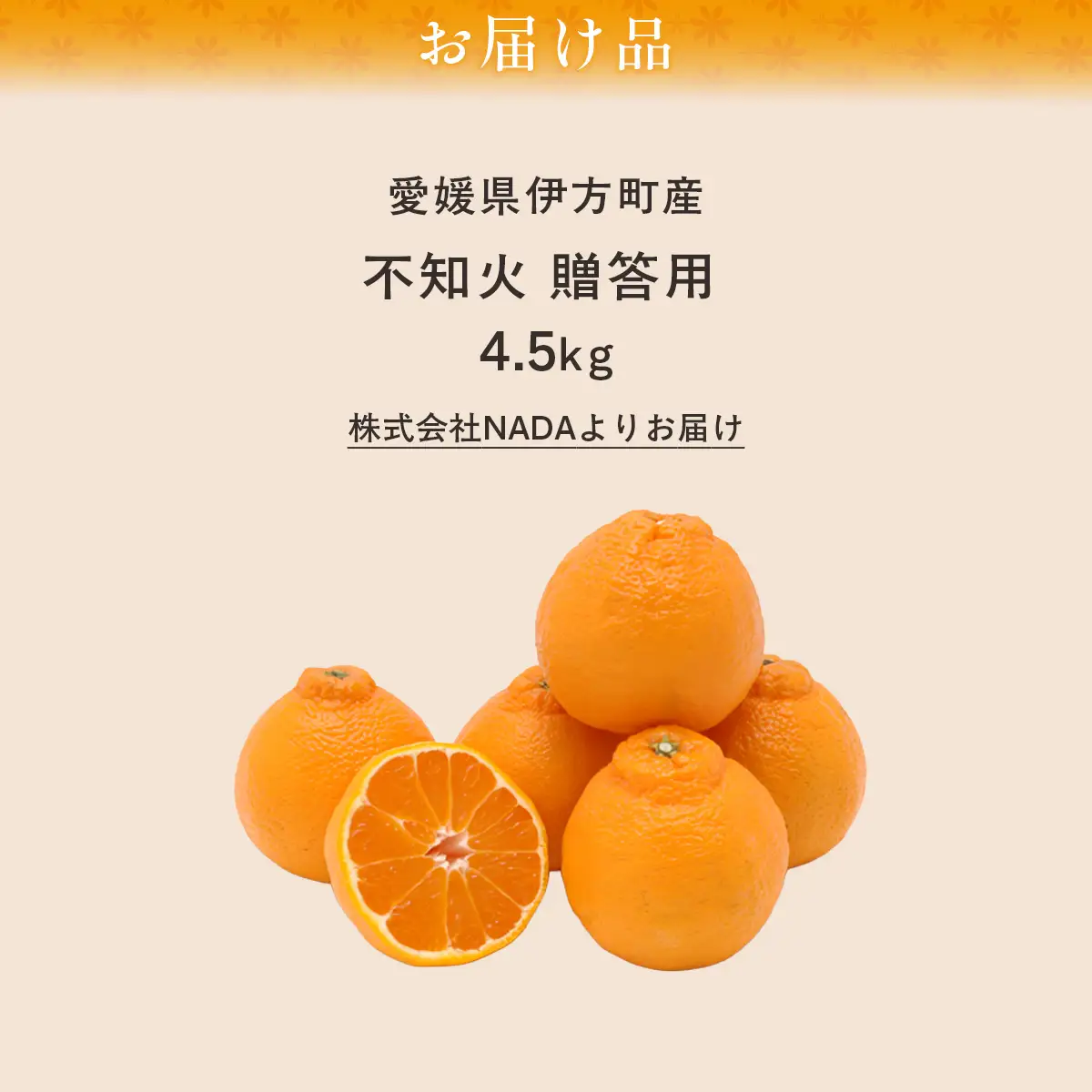 【先行予約】【農家直送】愛媛県産 不知火 贈答用 4.5kg （2027年2月下旬～3月下旬に順次発送予定） IKTC008 