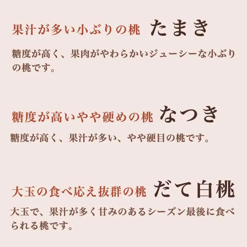 旬の白桃 約2kg 4～9玉 ［小布施屋］ 白桃 桃 もも モモ フルーツ 果物 クール便 冷蔵便 長野県産 信州産 期間限定 数量限定  たまき なつき あかつき 川中島白鳳 川中島白桃など 先行予約 2026 令和8年産 【2026年7月上旬～9月中旬発送】[H-76]