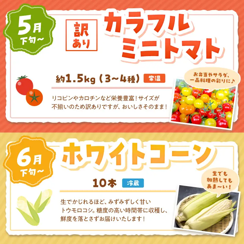 【旬の野菜定期便】イチゴやヤサイ 全5種  旬野菜