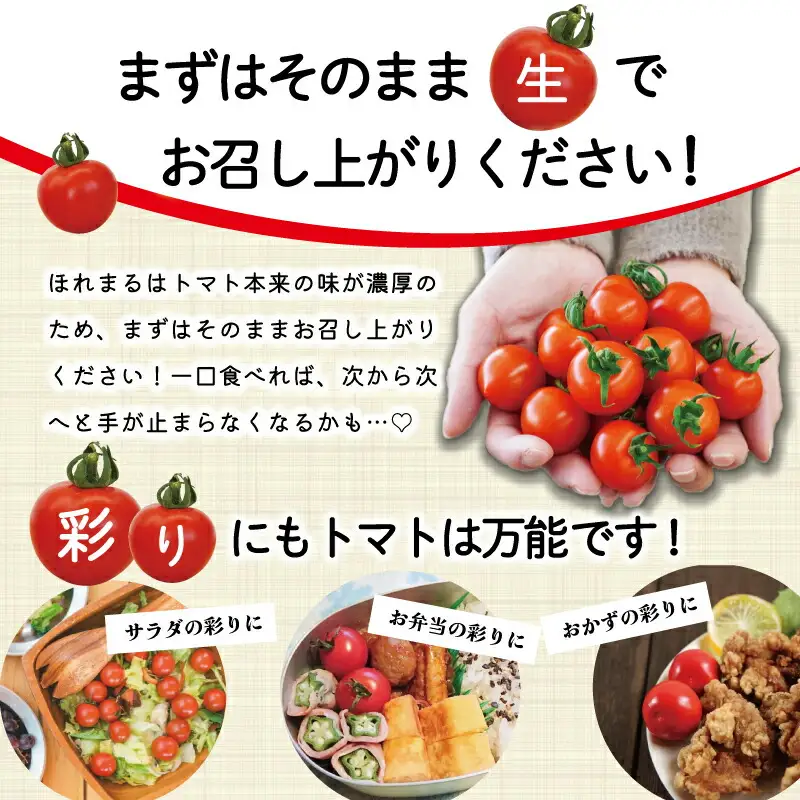 明和町産 完熟 トマト ほれまる 1kg ミニトマト 朝採り 新鮮 生鮮 野菜 あっさり