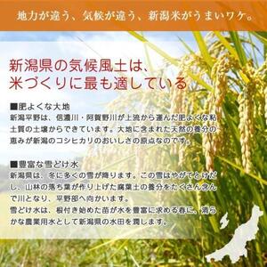 令和7年産 新潟コシヒカリ20kg(5kg×4) こしひかり 精米