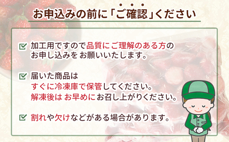 ＜冷凍いちご あまおとめ 約1.5kg 加工用 ヘタなし＞ 国産 アマオトメ 朝採り 朝採れ サイズ 不揃い 訳あり 訳アリ フルーツ 果物 苺 いちご イチゴ シャーベット ジャム スムージー 大粒 小粒 りの果樹園 愛媛県 西予市【冷凍】『1か月以内に順次出荷予定』URK0013