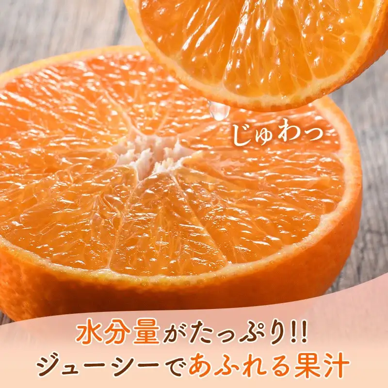 【先行予約】【ご家庭用】【数量限定】今治産 紅まどんな ５kg（Mサイズ）
