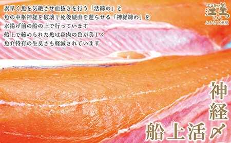 船上活〆・神経〆北海道江差産 天然秋鮭の極上いくら醤油漬け 1kg　100gパック　国産　手作り　いくら　秋あじ　鮭　さけ　サーモン　新物
