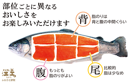 【数量限定】北海道産 サーモンのルイベ〈冷凍刺身〉お刺身用ブロック 6個　日本海 かもめ島海面養殖　純国産 ブランドサーモン『江さしっ子 繁虎』　とろける脂　活締め　浜のかあさん手作り　生食可　冷凍　小分け　個包装　トラウトサーモン　刺身　サーモンステーキ　カルパッチョ　海鮮　鮭　さけ　シャケ　しゃけ　さーもん　保存料不使用