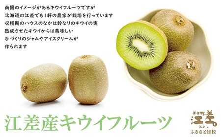 江差産果実の手づくりジャム　アロニア＆キウイフルーツ【思いやり型返礼品】各150ｇ（計2個）　「自然のめぐみを生かした手づくりジャム」