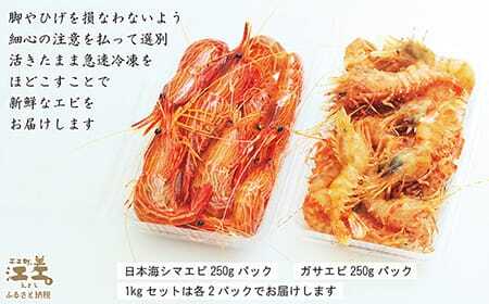 【！！先行予約！！＼12月中旬以降、順次出荷予定／】北海道産 天然えび食べくらべセット　計1kg　濃厚な甘みの日本海シマエビ（大）500g＆飽きのこない旨みのガサエビ500g　国産　江差近海産　天然もの　エビかご漁師直送　最良品厳選　生食可　お刺身　天ぷら　エビフライ　海老