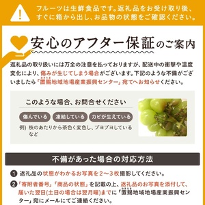 【期間限定】【2026年発送】山形のぶどう(シャインマスカット)約2kg（2～5房）_H063(R8)-2