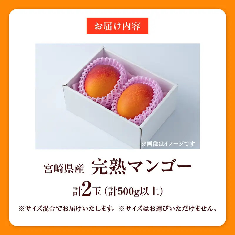 オンライン決済限定 数量限定 宮崎県産 完熟マンゴー 2玉 計500g以上 期間限定 フルーツ スイーツ 果物 くだもの 食品 グルメ デザート 国産 産地直送 人気 おすすめ おやつ 高級 ご褒美 贅沢 贈り物 ギフト プレゼント 令和8年発送分 宮崎県 日南市 送料無料_BD106-25