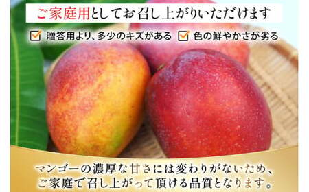 【2027年発送】 マンゴー 完熟 家庭用  アーウィン種 約 2kg (4〜6玉)