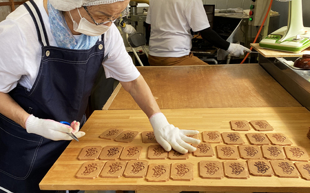 むかしなつかしいせんべいセット 計48枚入り 3枚×16袋 せんべい 煎餅 お菓子 たまごせんべい おやつ お茶請け