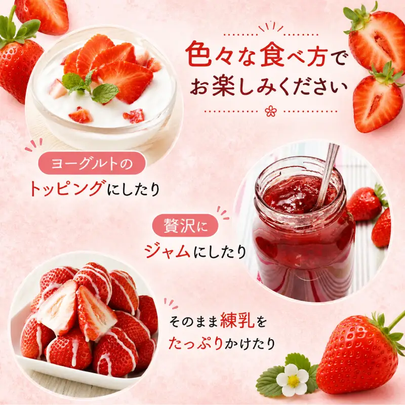 【3回定期便】【先行予約】あまおう 等級DX 約1,620g （約270g×2パック×3回） いちご 苺 果物 フルーツ【2027年1月上旬～3月下旬迄順次発送予定】
