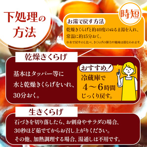 【定期3回】乾燥きくらげ 8g×10P ともちゃん農園|定期便 乾燥きくらげ きくらげ 贈答用 乾燥 きくらげ 食物繊維 鉄分 カルシウム ビタミンD カリウム アミノ酸  高血圧予防 ふるさと 納税 栃木県 那珂川町 送料無料