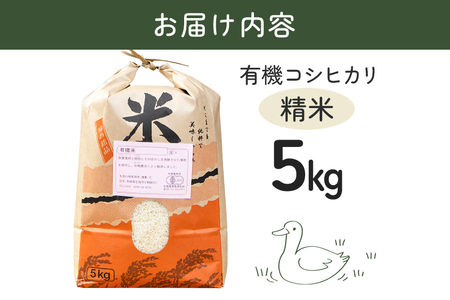 【令和7年産】有機 コシヒカリ 精米 5kg 有機栽培 有機米 特別栽培米 合鴨農法 こしひかり お米 白米 米 おこめ ブランド米 こしひかり 5キロ 国産 単一原料米 コメ こめ ご飯 銘柄米 茨城県産 茨城 産直 産地直送 農家直送 ごはん 家庭用 贈答用 茨城県 石岡市 (B03-001)