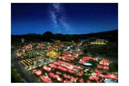 いばらきフラワーパーク 年間パスポート 1名分 入園し放題 四季の花々 レストラン 割引特典付き いばらき フラワーパーク チケット 入園券 金券 観光 旅行 家族 茨城 関東近辺 首都圏 関東 花 植物園 茨城県 石岡市 (G03-002)