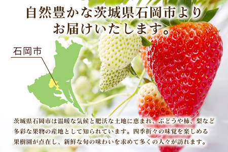 【2026年先行予約】やよいひめ 2L いちご イチゴ 苺 17粒 4パック 1kg 以上 国産 果物 フルーツ くだもの 1月 2月 3月 発送 冬 旬 産地直送 農家直送 産直 甘い デザート スイーツ 家庭用 贈答 贈答用 茨城 茨城県 石岡市 (A13-006)