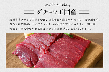 ダチョウ フィレ肉 約500g ダチョウ肉 赤身肉 ヘルシー 低脂肪 低カロリー 高たんぱく質 鉄分 豊富 真空パック 上質 抗生物質不使用 成長ホルモン不使用 国産 ダイエット 健康志向 グルメ ギフト 産地直送 (C05-004)