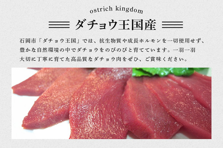 ダチョウ モモ肉 約500g ダチョウ肉 赤身肉 ヘルシー 低脂肪 低カロリー 高たんぱく質 鉄分 豊富 真空パック 上質 抗生物質不使用 成長ホルモン不使用 国産 ダイエット 健康志向 グルメ ギフト 産地直送 (C05-005)