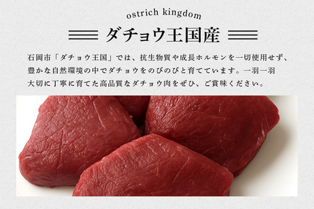ダチョウ 上フィレ肉 ステーキ用 500g ダチョウ肉 赤身肉 ヘルシー 低脂肪 低カロリー 高たんぱく質 鉄分 豊富 真空パック 上質 抗生物質不使用 成長ホルモン不使用 国産 ダイエット 健康志向 グルメ ギフト 産地直送 (C05-006)