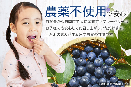 冷凍 ブルーベリー 1.5kg ダチョウ王国産 ( 500g 3パック ) 完熟 1.5キロ 果物 フルーツ 国産 産地直送 農家直送 産直 くだもの スムージー ジャム ヨーグルト デザート 茨城 茨城県 石岡市 (C05-002)