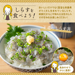 生シラス500g (100g×5個) 魚介 しらす 広島県 呉市