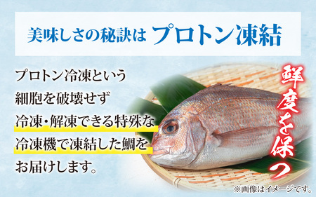【数量限定】鯛しゃぶ食べ比べセット　約3人前（プロトン凍結）＋西京漬け１袋を一緒にお届け。 詰め合わせ ギフト 