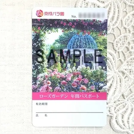 【優秀庭園賞受賞】京成バラ園 年間パスポート 1枚【1076459】